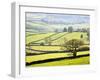 Wharfedale Near Appletreewick, Yorkshire Dales, Yorkshire, England, United Kingdom, Europe-Mark Sunderland-Framed Photographic Print