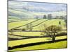 Wharfedale Near Appletreewick, Yorkshire Dales, Yorkshire, England, United Kingdom, Europe-Mark Sunderland-Mounted Photographic Print