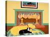 What A Ball Yellow Black Cat-Stephen Huneck-Stretched Canvas