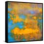 What a Color Art Series Abstract VII-Ricki Mountain-Framed Stretched Canvas