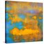 What a Color Art Series Abstract VII-Ricki Mountain-Stretched Canvas