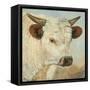 What a Wonderful World-Kathy Winkler-Framed Stretched Canvas