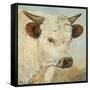 What a Wonderful World-Kathy Winkler-Framed Stretched Canvas