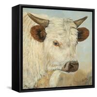 What a Wonderful World-Kathy Winkler-Framed Stretched Canvas