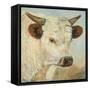 What a Wonderful World-Kathy Winkler-Framed Stretched Canvas