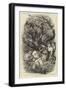 What an Aquarium Should Be-null-Framed Giclee Print