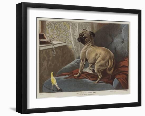 What Can This Be?-Carl Constantin Steffeck-Framed Giclee Print