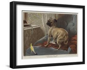 What Can This Be?-Carl Constantin Steffeck-Framed Giclee Print