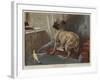 What Can This Be?-Carl Constantin Steffeck-Framed Giclee Print