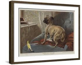 What Can This Be?-Carl Constantin Steffeck-Framed Giclee Print