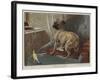 What Can This Be?-Carl Constantin Steffeck-Framed Giclee Print