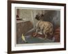 What Can This Be?-Carl Constantin Steffeck-Framed Giclee Print