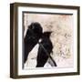 What Crows Reveal II-Ingrid Blixt-Framed Art Print