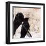 What Crows Reveal II-Ingrid Blixt-Framed Art Print