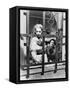 What Ever Happened to Baby Jane?, 1962-null-Framed Stretched Canvas