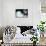What Ever Happened to Baby Jane?-null-Stretched Canvas displayed on a wall
