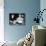 What Ever Happened to Baby Jane?-null-Stretched Canvas displayed on a wall