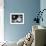 What Ever Happened to Baby Jane?-null-Framed Photo displayed on a wall