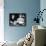 What Ever Happened to Baby Jane?-null-Framed Photo displayed on a wall