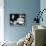 What Ever Happened to Baby Jane?-null-Framed Photo displayed on a wall