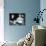 What Ever Happened to Baby Jane?-null-Mounted Photo displayed on a wall