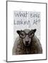 What Ewe Looking At-Fab Funky-Mounted Art Print