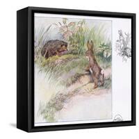 What Funny Things-Anne Anderson-Framed Stretched Canvas