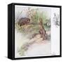 What Funny Things-Anne Anderson-Framed Stretched Canvas