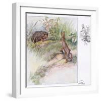 What Funny Things-Anne Anderson-Framed Giclee Print