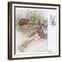 What Funny Things-Anne Anderson-Framed Giclee Print