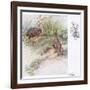 What Funny Things-Anne Anderson-Framed Giclee Print