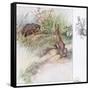 What Funny Things-Anne Anderson-Framed Stretched Canvas