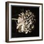 What If-Philippe Sainte-Laudy-Framed Photographic Print