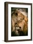 What is love-Mohammed Alnaser-Framed Photographic Print