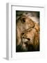 What is love-Mohammed Alnaser-Framed Photographic Print