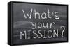 What is Your Mission-Yury Zap-Framed Stretched Canvas