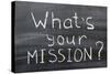 What is Your Mission-Yury Zap-Stretched Canvas