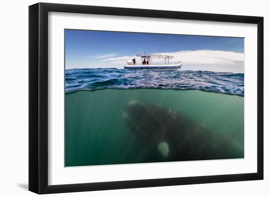 What lies Beneath-Justin Hofman-Framed Art Print