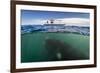 What lies Beneath-Justin Hofman-Framed Art Print