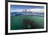 What lies Beneath-Justin Hofman-Framed Art Print