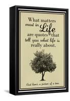 What Life Is About-null-Framed Stretched Canvas