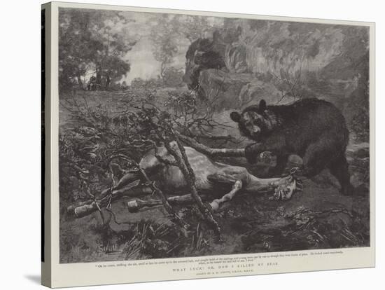 What Luck! Or, How I Killed My Bear-Alfred William Strutt-Stretched Canvas