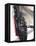What Once Was Larger II-Jaime Derringer-Framed Stretched Canvas