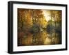 What Remains-Jessica Jenney-Framed Giclee Print