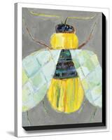 What's Bugging You? I-Staci Swider-Stretched Canvas