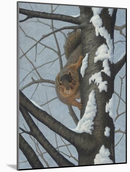 What's Going on - Fox Squirrel-Robert Wavra-Mounted Giclee Print
