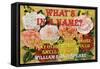 What's in a Name?-William Shakespeare-Framed Stretched Canvas