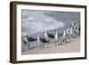 What's Up Gulls-Danny Head-Framed Photographic Print