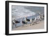 What's Up Gulls-Danny Head-Framed Photographic Print