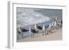 What's Up Gulls-Danny Head-Framed Photographic Print